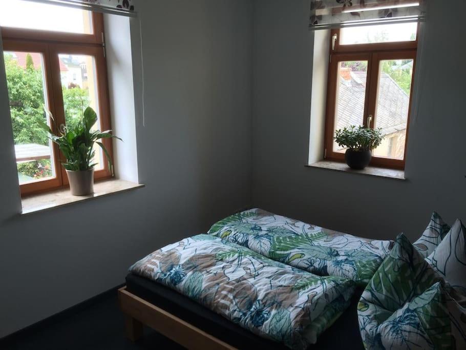 Harmonie-obergeschoss - 2x Schlafzimmer Kamin Playstation Grosser Balkon Dresden
